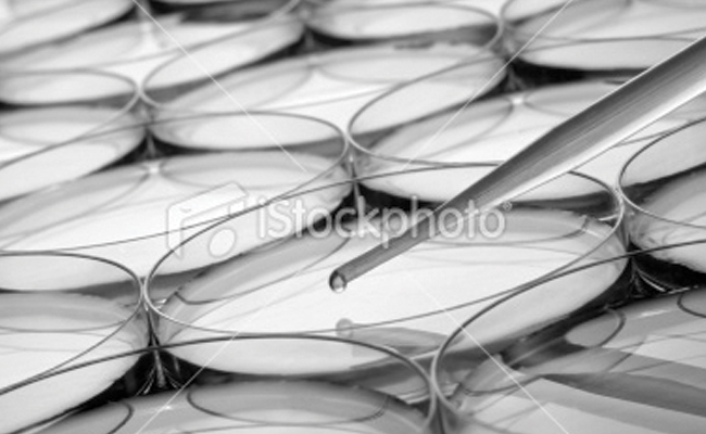 cells