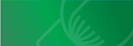 original logo