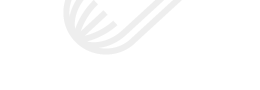 original logo